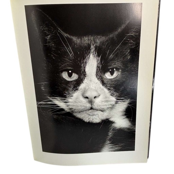 Animal Portraits by Walter Schels (2001 HCDJ) EDITION STEMMLE - Picture 7 of 9